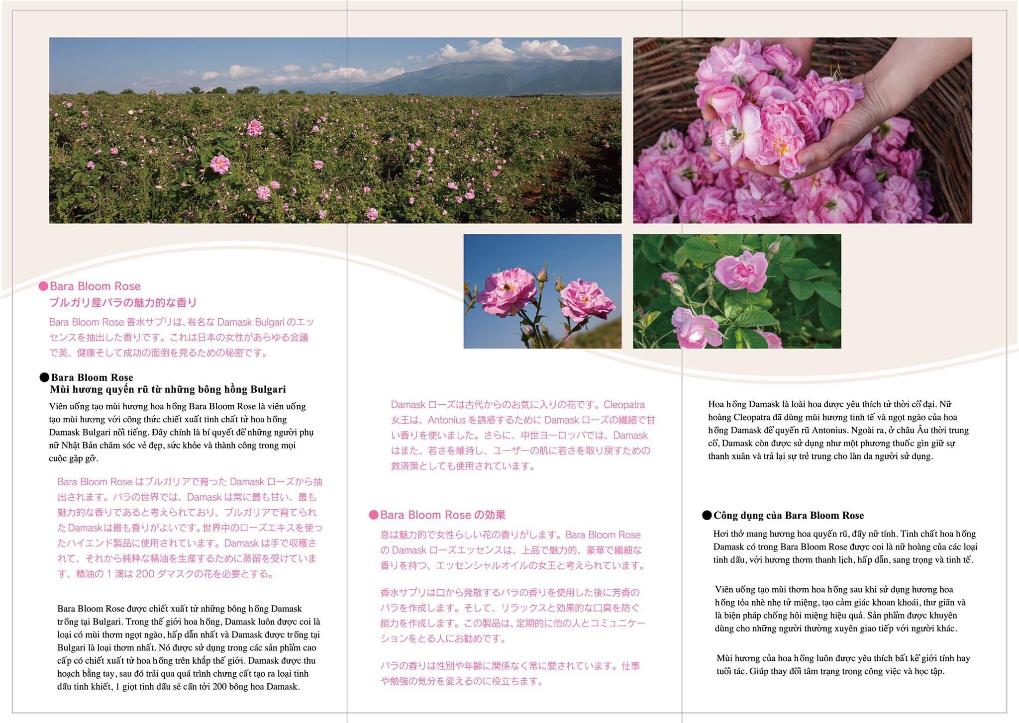 Viên Uống Collagen Bara Bloomrose Hoa Hồng Nhật